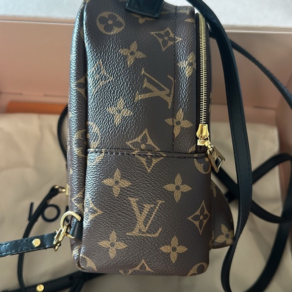 Louis Vuitton Palm Springs Mini Backpack - Picture 4 of 5